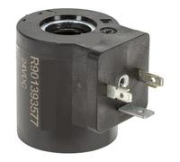 Bobine D'électrovanne R901393412 12VDC 1pcs