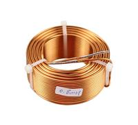 Bobine d'inductance de croisement de haut-parleur 1.5mm, bobine 4N en cuivre sans oxygène 1 pièce 0.8mH Nipseyteko