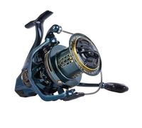 Bobine en Aluminium avec Broche Acier Inoxydable et Tresse, Compatible Moulinet Spinning de 20KG Max, Compatible la pêche Eau salée(12000)