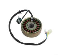Bobine Ignition WR250F Certifiée ISO9001 Bobine Ignition WR250F