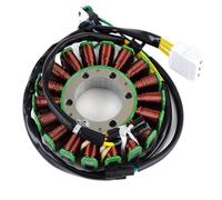 Bobine Moto Allumage Bobine de stator pour Bearcat Z1 XT GS 1100 M 9000 ProClimb M1100 XF