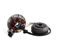 Bobine Moto Allumage Moto pour volant moteur de stator magnéto avec lumière pour YINXIANG YX 140cc 1P56FMJ W063 BSE pour SDG SSR Dirt Pit Bike