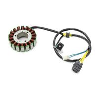 Bobine Stator Bobine De Stator Générateur Moto S31120RCA000 Pour Bombardier Pour Can-am Pour DS250 2008 2009 2010-2016 Magneto Stator Coil