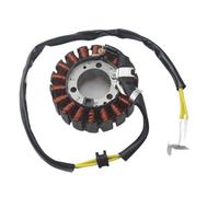 Bobine Stator Bobine Stator Magnétique Moto Pour NSS250 Pour Reflex Jazz Forza 250 MF06 FES250 Pour Prospective CH250 Bobine Stator MagnéTo