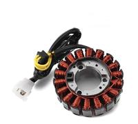 Bobine Stator Bobine Stator Pour CH250 Pour Elite KAB FES250 NSS250 Pour Forza 250 MF06 Pour Prospective Reflex Jazz 2001-2003 Bobine Stator MagnéTo