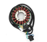 Bobine Stator Compatible Avec Suzuki Pour DF125 Pour DF125EX 1999 Pour DF125EY 2000 Pour DF200 Pour DF200ET 1996 Bobine De Stator Magnéto Générateur