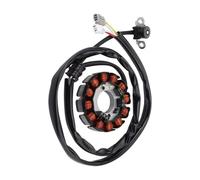 Bobine Stator Compatible Avec Yamaha Pour WR250F 2004-2014 Générateur De Stator De Bobine De Magnéto De Moto 5UM-81410-09-00 5UM-81410-31-00-ABQA