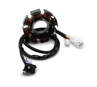 Bobine Stator Magnéto Bobine De Stator Magnétique De Moto Accessoires De Remplacement pour Breeze 125 YFA1 2002 2003 2004 3FA-81410-00 1x Plaque Stator