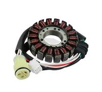 Bobine Stator Moto pour pour Raptor 660 YFM660 pour ATV pour Bear pour Tracker 250 YFM250 pour Générateur 2001 2002 2003 2004 2005 Moto Stator Bobine Allumages Moto