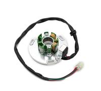 Bobine stator moto Stator générateur Bobine de stator de magnéto de moto adaptée à Husqvarna TC125 250 HQV pour KTM 125 250 SXS 144 150 250 SX 125 SX