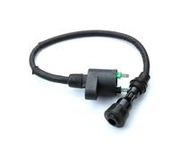 Bobine Stator pour CH125 CF150 CH250 CF250 ATV Scooter Bobines D'allumage Dispositif D'allumage Moto Bobine D'allumage