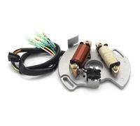 Bobine Stator Pour YFS200 Blaster 2003 - 2007 Bobine Stator Générateur Magnéto Moto Édition Spéciale 5VM-85560-00