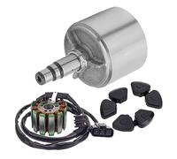 Bobine Stators Pour 5VY-81450-00-00 2SH-81450-00-00 FZ8 FZ8N FZ1 FZ1N YZFR1 Moteur De Moto Cylindre Magnétique Rotor Et Stator Bobine Et Joint Allumage Magnéto Stator(1 jeu)