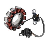 Bobine Stators Pour Aprilia Pour Sportcity 50 2V Pour Scarabeo 50 4V 100 2001-2014 Stator Magnéto 12 Bobines Allumage Magnéto Stator