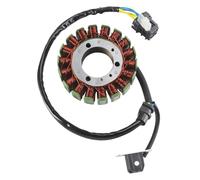 Bobine Stators Pour Cectek, Pour ATV, Pour Kingcobra 550 EFI T6 2010-2012 C0003M04 Bobine De Stator Magnéto Allumage Magnéto Stator