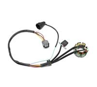 Bobine Stators Pour Kawasaki KX250F 2004-2010 21003-0015 21003-0048 21003-0027 21003-0091 Bobine De Stator De Remplacement Moto Allumage Magnéto Stator