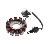 Bobine Stators Pour Piaggio Pour Fly 100-2006 2007 2008 2009 2010 2011 2012 2013 2014 Stator Magnéto 12 Bobines Allumage Magnéto Stator