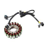 Bobine Stators Pour Suzuki AN250 AN400 Pour Burgman 250 400 2003 2004 2005 2006 AN400Z Bobines De Stator De Générateur De Moto Allumage Magnéto Stator