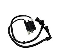 Bobines D'allumage Moteur Kit De Remplacement De Câble D'allumage Pour Moto Pour Bajaj Pour Pulsar 200 NS200 200NS 200cc Allumage de Moto