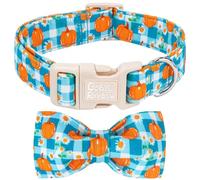 Bobo Rainbow Collier pour chien motif citrouille vichy bleu automne avec | Idéal pour une promenade quotidienne, un pique-nique, le camping, la récolte de Thanksgiving, collier en coton réglable