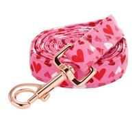 Bobo Rainbow Laisse pour chien de Saint Valentin rose mignon imprimé cœur laisse confortable rembourrée Garçon/fille Laisse durable et robuste pour chiens de petite, moyenne et grande taille