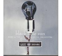 Black Hole Sun [Import]
