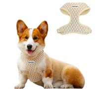 Bobotails Floral Brilliance Harnais pour chien avec anneau en D et clip pour laisse - Harnais réglable anti-traction pour petits jouets - Chihuahua, Poméranie et Yorkshire Terrier (doré, XXS)