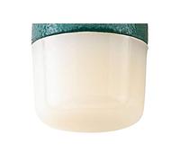 Stahlwille 10956R 50 ERSATZ-NYLONKOPF ZU HAMMER NO. 10956 79050050 Tête de rechange 53 g 1 pc(s)