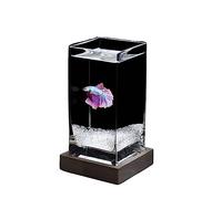 Bocal à Poisson Réservoir de poissons carré hautement translucide, réservoir de poissons de combat avec Base en bois, réservoir de poissons tropicaux en verre épais, petit aquarium de bureau Mini Aqua