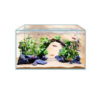 Bocal à poissons transparent pour aquarium, 41/45/56 litres - Boîtier en verre extra clair - Réservoir for poissons rouges ou comme réservoir for tortues d'eau avec tapis d'aquarium de même taille(45x