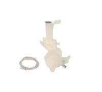 Bocal de lave-glace BLIC 6905-01-1619480P