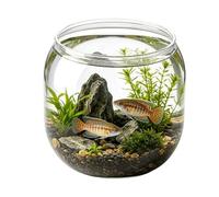 Bocal Poisson Rond Décoratif et Incassable