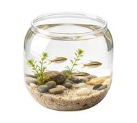 Bocal pour Poisson Betta,Aquarium Rond Décoratif Transparent - Bocal pour Crevettes et Bac pour Poissons - Idéal pour Maison, École, Salle de ortoir, Restaurant, Bar, Salon de séjour, Chambre