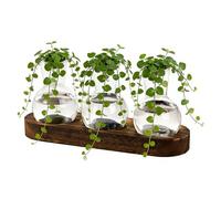 Bocaux de Propagation de | Terrarium d'enracinement avec Base en Bois, Pot de Fleurs hydroponiques en Verre avec Base en Bois | pour Chambre, bibliothèque, Appartement, Salon