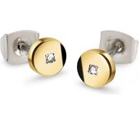 Boccia clous d'oreilles titane diamant 05064-04