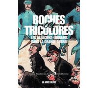 Boches ou tricolores ?: Les Alsaciens-Lorrains dans la Grande Guerre