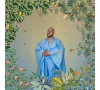 Boddhi Satva - Manifestation