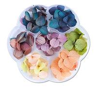 Bodhi2000 1 Boîte Mini Ongles Fleurs Séchées 3D Nail Art Autocollant, Fleur Beauté Ongles Autocollants Pour Manucure Nail Art Bijoux Pendentif Artisanat Décorations Style 1