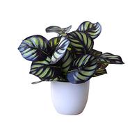 Bodhi2000 - Plante Verte Artificielle en Pot Bonsaï, Plante à Feuilles Artificielles Réaliste pour Décoration de Fête, Centre de Commerce, Bureau, Maison 2