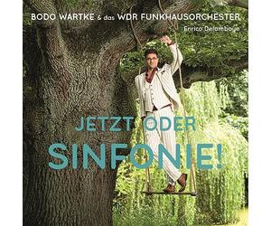 Bodo Wartke & das Wdr Funkhausorchester - Jetzt Oder Sinfonie !