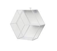 BODOBTF Étagère murale en fer moderne et simple, décoration d'intérieur pour la créativité de la maison, étagère de rangement d'articles divers (hexagone en fer blanc)
