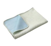 BODOBTF Tapis de refroidissement d'été pour chien et chat - Couverture respirante lavable et respirante - Siège de voiture - Vert - XS - 40 x 30 cm