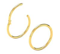 Body CAC 2 Pièces-1.2mm×10mm Or Femme Acier Chirurgical Anneaux de Nez à Charnière Oreille Inoxydable Anneau Piercing Helix Cartilage Tragus Boucles D'oreilles