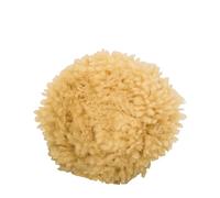 Body en éponge de mer, env. 10 cm