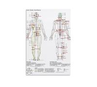 Body humain standard Meridian Acupuncture Massage Acupoint Map Poster Peinture décorative sur toile Art mural pour salon, chambre à coucher, art mural, impression d'image moderne, décoration de