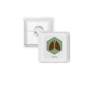 Body Organs Lung Organs PBT Keycaps pour clavier mécanique Blanc OEM sans marquage