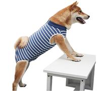 Body Post-Opératoire pour Chien - Stérilisation, Castration, Vêtement de Sevrage - Femelle, Mâle - Déguisement Médical (XXX-Large, Rayé)