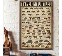 Bodyard Plaque en métal vintage type de tortue Knowledge Turtles of The World Save The Sea Turtle Poster en métal vintage pour bar, club de musique, décoration murale de chambre 30,5 x 40,6 cm