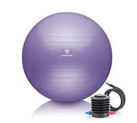 BODYMATE Ballon Fitness + Pompe Incluse + E-Book Gratuit French Lavender 65cm