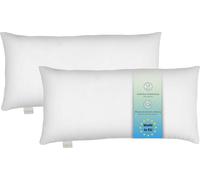 Bodyprotect ECOLine Oreiller, 40 x 80 cm, lot de 2, 100% microfibres, convient aux personnes allergiques